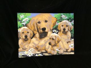 Vintage Paint By Number Painting Golden Retriever Mom And Puppies 14 1/2” X 11