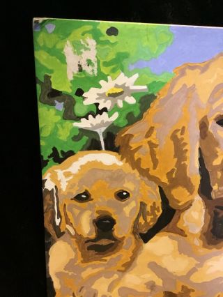Vintage Paint By Number Painting Golden Retriever Mom And Puppies 14 1/2” X 11 2