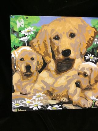 Vintage Paint By Number Painting Golden Retriever Mom And Puppies 14 1/2” X 11 3