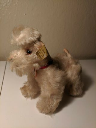 Vintage Steiff Snobby French Poodle Mohair & Movable Legs W/ Collar & Tag