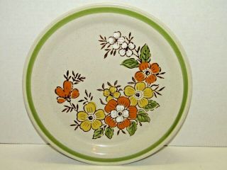 Vintage Country Casual Hand Painted Stoneware Dinner Plate Spring Garden Pattern