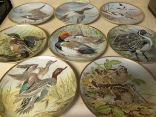 Vintage 1981 Water Birds Of The World Franklin Porcelain Plates Basil Ede Signed