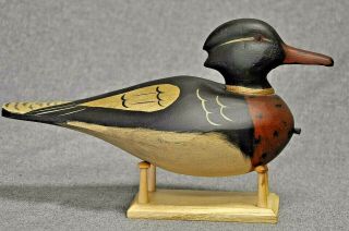 Species East Coast Style Red Breasted Merganser Drake Duck Decoy Wmw
