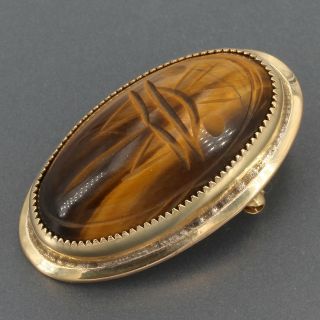 Vintage Gold - Filled Carved Tigers Eye Scarab Oval Pin Pendant 3/4 " X 1 - 3/8 "