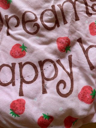 Vintage Strawberry Shortcake Sleeping Bag 2