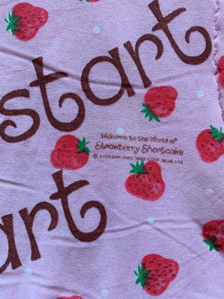 Vintage Strawberry Shortcake Sleeping Bag 3