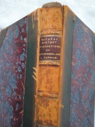 NATURAL HISTORY TRANSACTIONS OF NORTHUMBERLAND AND DURHAM.  ANTIQUE VOL II 1867 2