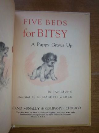 Vintage Hardcover Children ' s Book Five Beds for Bitsy from 1950 3