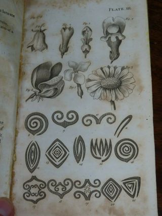1796 An Introduction To Botany In A Series Of Letters By Wakefield 13 Plates