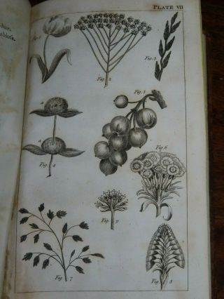1796 AN INTRODUCTION TO BOTANY IN A SERIES OF LETTERS BY WAKEFIELD 13 PLATES 2