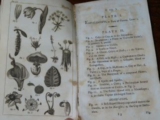 1796 AN INTRODUCTION TO BOTANY IN A SERIES OF LETTERS BY WAKEFIELD 13 PLATES 5