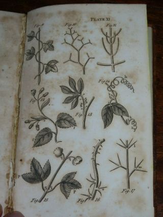 1796 AN INTRODUCTION TO BOTANY IN A SERIES OF LETTERS BY WAKEFIELD 13 PLATES 6