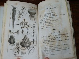 1796 AN INTRODUCTION TO BOTANY IN A SERIES OF LETTERS BY WAKEFIELD 13 PLATES 7