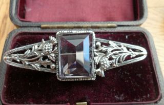 Vintage Jewellery Art Nouveau Silver Amethyst Scottish Thistle Brooch Pin