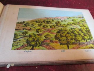Vintage /Antique Book of Flowers and Views of the Holy Land 4