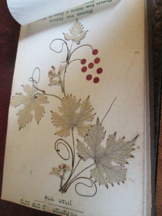Vintage /Antique Book of Flowers and Views of the Holy Land 5