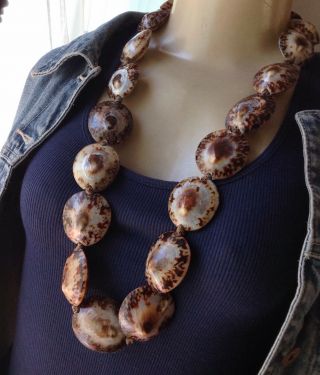 Vintage Necklace Long Limpet Shell Lei Huge Shells