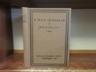 Old Wild Animals Of North America Book Color Plates Big Game Tracks Birds Bear,