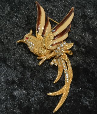 Vintage Costume Jewellery Bird Of Paradise Brooch/pin Signed Sphinx
