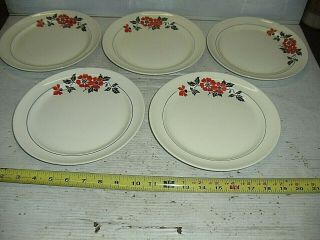 5 Old Vintage 9 " Dinner Plate Dishes Halls China Red Poppy