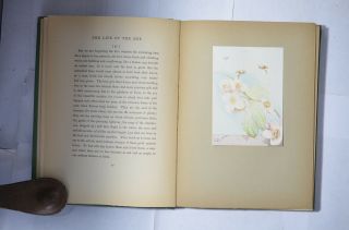 The Life of the Bee,  Maeterlink,  trans Sutro,  Color Illus Detmold,  Cloth,  1912 5