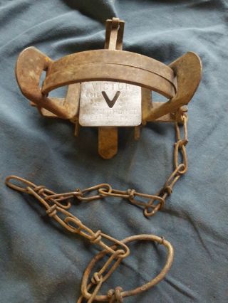 Vintage Victor 1 1/2 Coil Spring Steel Trap (usa) Lititz Pa.