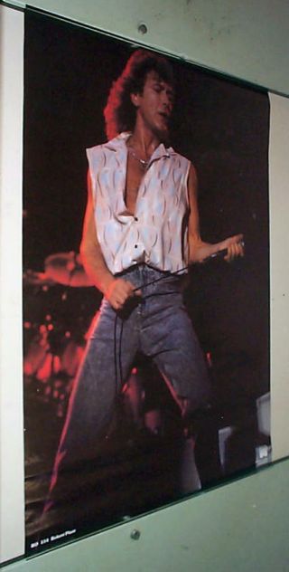 Led Zeppelin Robeert Plant 1984 Stage Vintage Poster