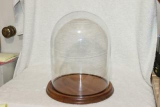 Vintage Large Clear Glass Dome With Base 8 " X 10 " No Chips Cracks Nicks