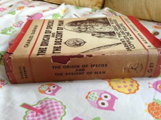 Charles Darwin The Origin of Species & Descent of Man 1936 First Modern Library 2