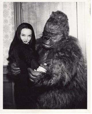 Carolyn Jones Vintage Photo The Addams Family Gorilla Ape