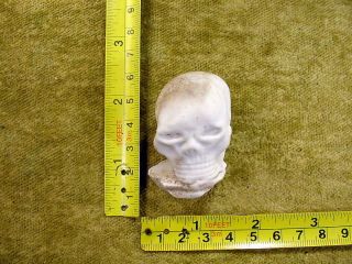Excavated Vintage Victorian Skull Age 1860 Kister Diameter 1.  2 Inch Art 11311