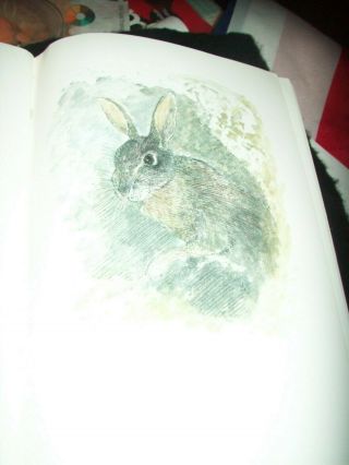 THE ILLUSTRATED EDITION,  WATERSHIP DOWN,  RICHARD ADAMS.  ALL AF. 4