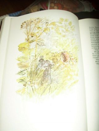 THE ILLUSTRATED EDITION,  WATERSHIP DOWN,  RICHARD ADAMS.  ALL AF. 5