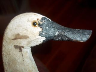 Hand Carved Primitive Small White Duck Decoy Vintage With Attached Weigh Hunting
