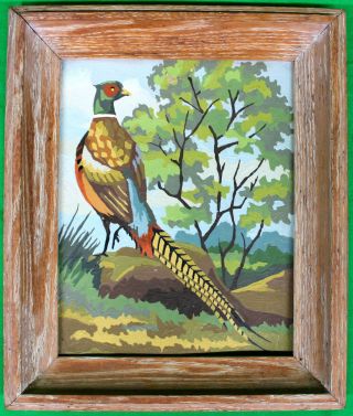 Vintage Ring Neck Pheasant Paint By Number 1950s - 60s