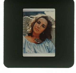 Elizabeth Taylor Vintage 1965 2x2 The Sandpiper Mgm Color Transparency
