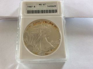 1987 Silver Eagle (in A Vintage Anacs Case) Ms 67,  With Toning 2191