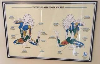 Vintage 80s Framed Exercanatomy Workout 1982 Bruce Algra Fitnus Chart Series