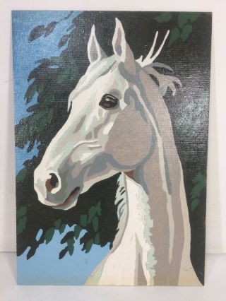 Vtg Art White Horse Head Image Paint By Number Painting 7 X 10 " Unframed Pbn