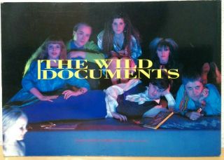 The Wild Documents 1985 By Fools Mate Hc Punk Wave Post - Punk