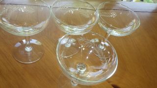 Vintage Etched Champagne Glasses Coupes 4 5 ounce 1950s glasses 5
