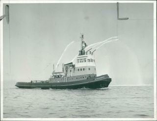 Ship: Stackgarth - Vintage Photo