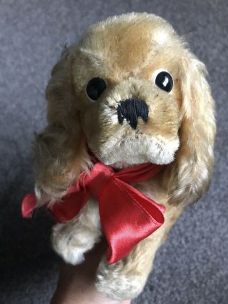 Sweet Vintage Miniature Steiff Susi Cocker Spaniel Dog Puppy 7” No Id Darling