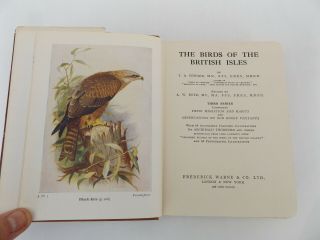 1958 The Birds Of The British Isles & Their Eggs Third Series By T.  A.  Coward Dj