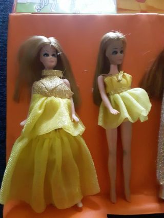 Vintage 1971 Topper Toys Dawn And Her Friends Doll Case & Dawn Dolls and clothes 4
