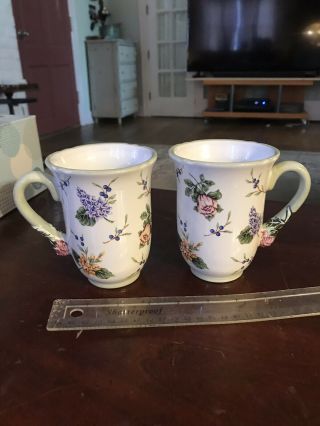 Princess House Exclusive Vintage Garden 12 Oz Coffee Tea Cup Mug Pair Set Of Two