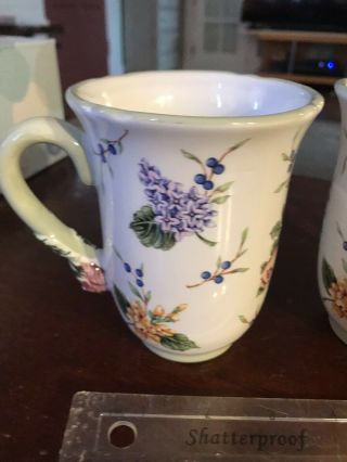 Princess House Exclusive Vintage Garden 12 Oz Coffee Tea Cup Mug Pair Set Of Two 2
