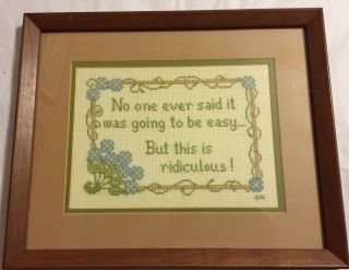 Vintage Cross Stich Sampler Embroidery Framed " No One Said It Would Be Easy.  "