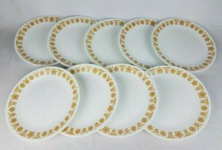 Vintage Set Of 9 - Corelle 10 1/4 " - Butterfly Gold Dinner Plates - Corning Ware
