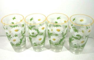 Set Of 4 Vintage Libbey 16 Oz Daisy Drinking Glasses Tumblers W/ Gold Rim
